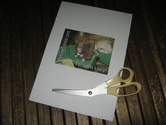 Picture of an Extreme HamsterTrackin' printout.